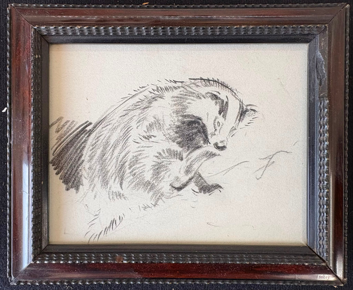 Sketch of a Badger
