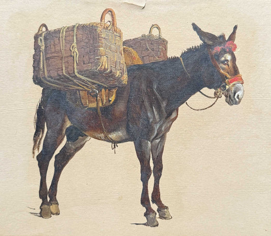 Study of a Donkey (1)