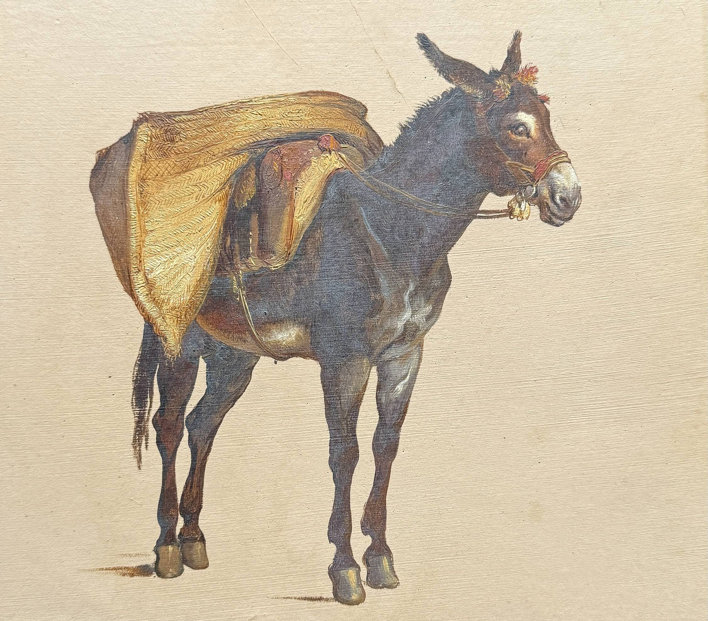 Study of a Donkey  (2)