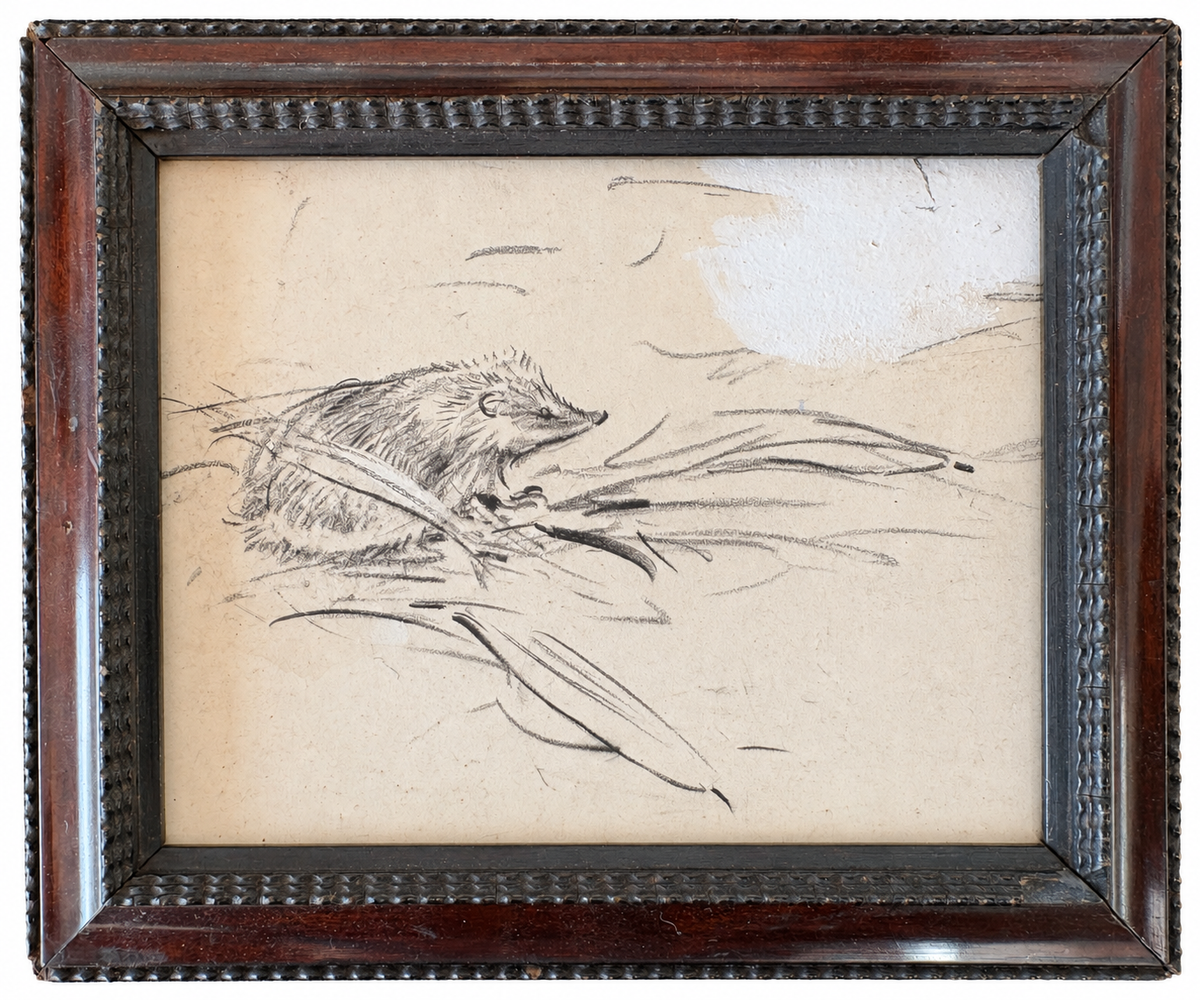 Sketch of a Hedgehog
