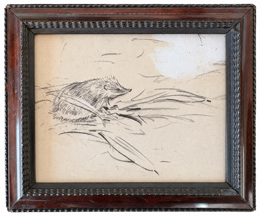 Sketch of a Hedgehog