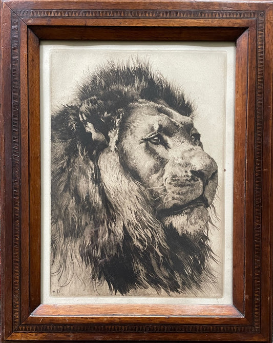 Etching of a Lion