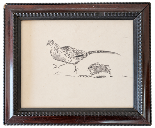 A Pheasant and a Bunny
