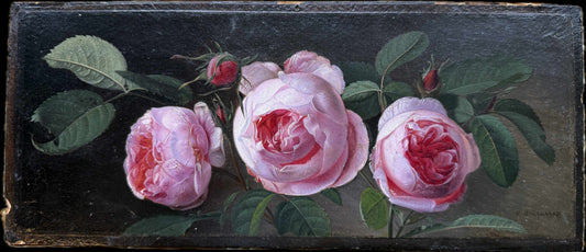 Botanical Study of Roses