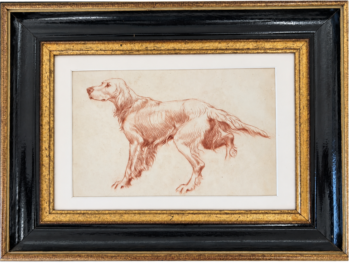 Sketch of a Setter by Thomas Blinks