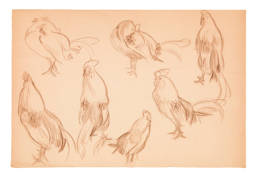 Large Studies of Chickens
