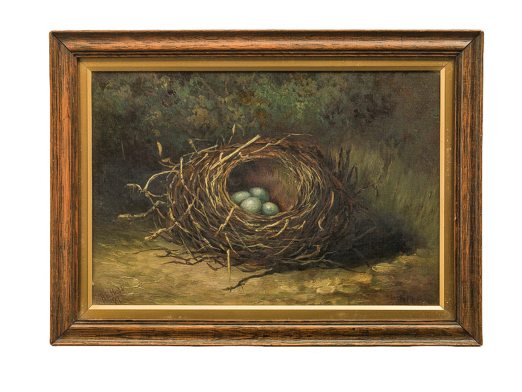 Bird's Eggs in Nest on a Sandy Bank