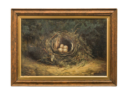 Bird's Eggs in Nest on a Sandy Bank