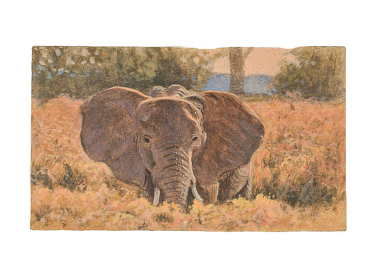 Elephant in Long Grass