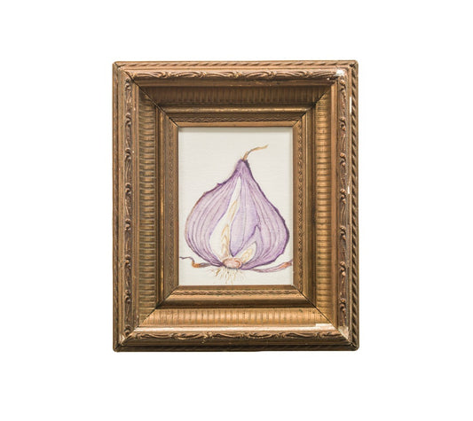 Red Onion Study