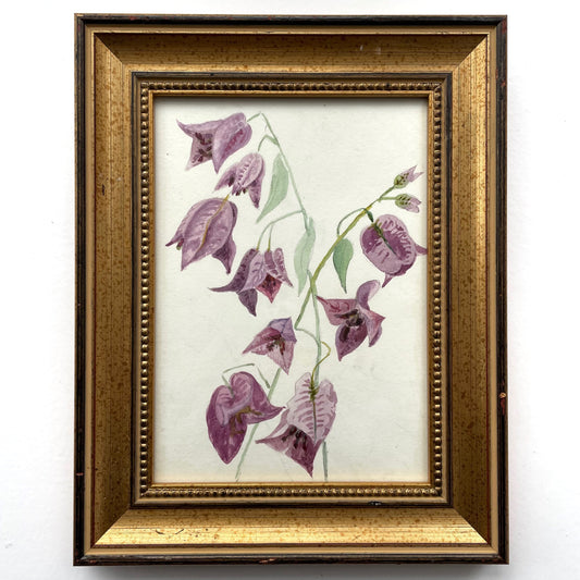 Study of Fritillaries