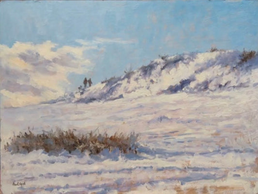 Snowy Landscape