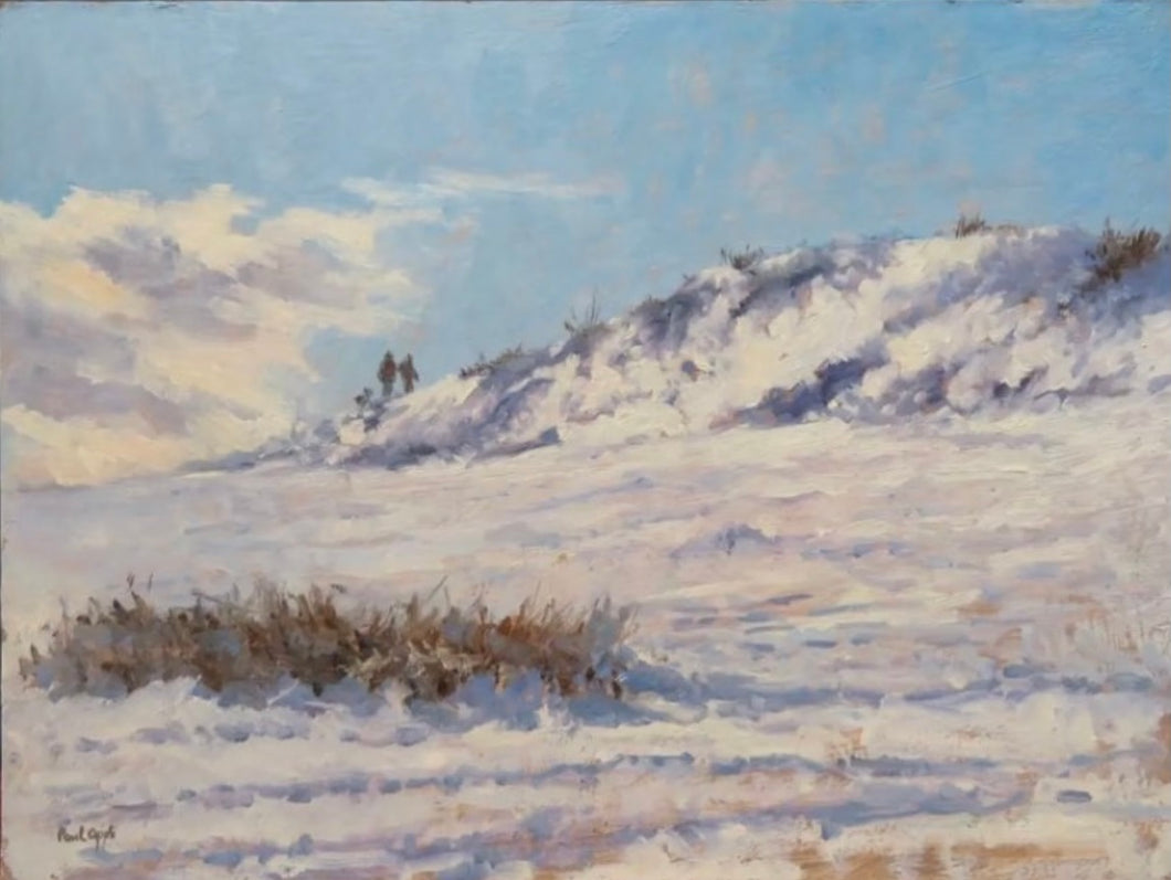 Snowy Landscape
