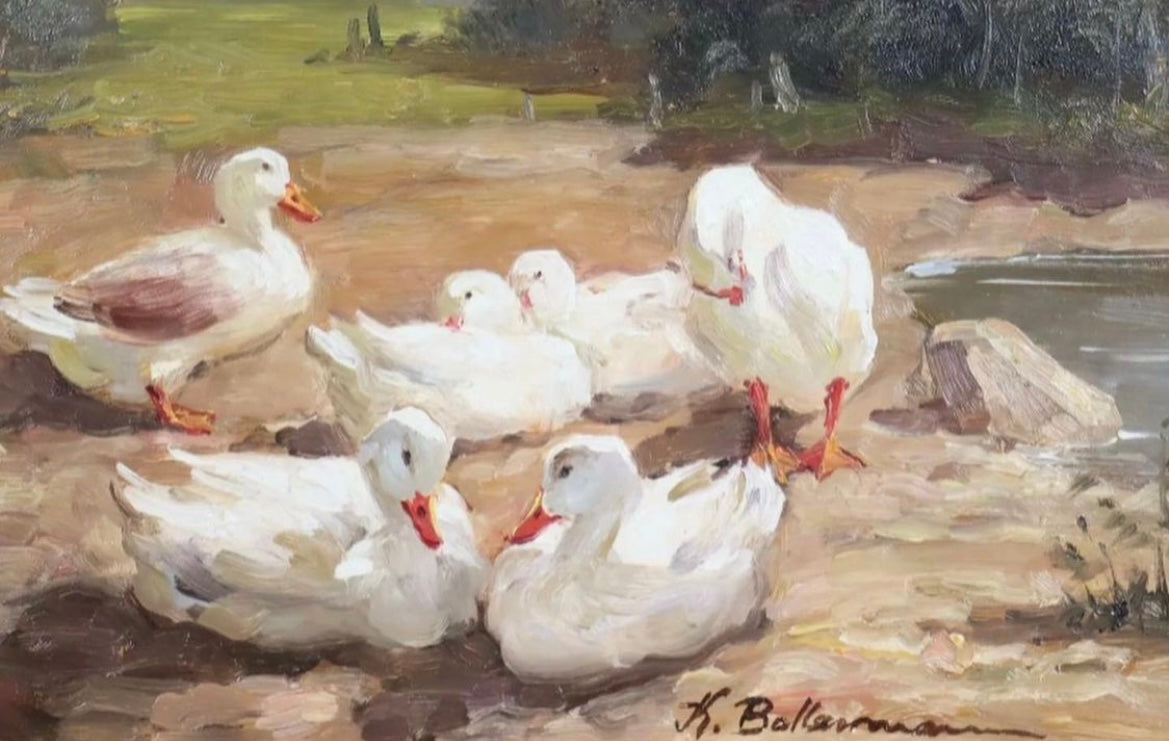 Ducks by a Pond