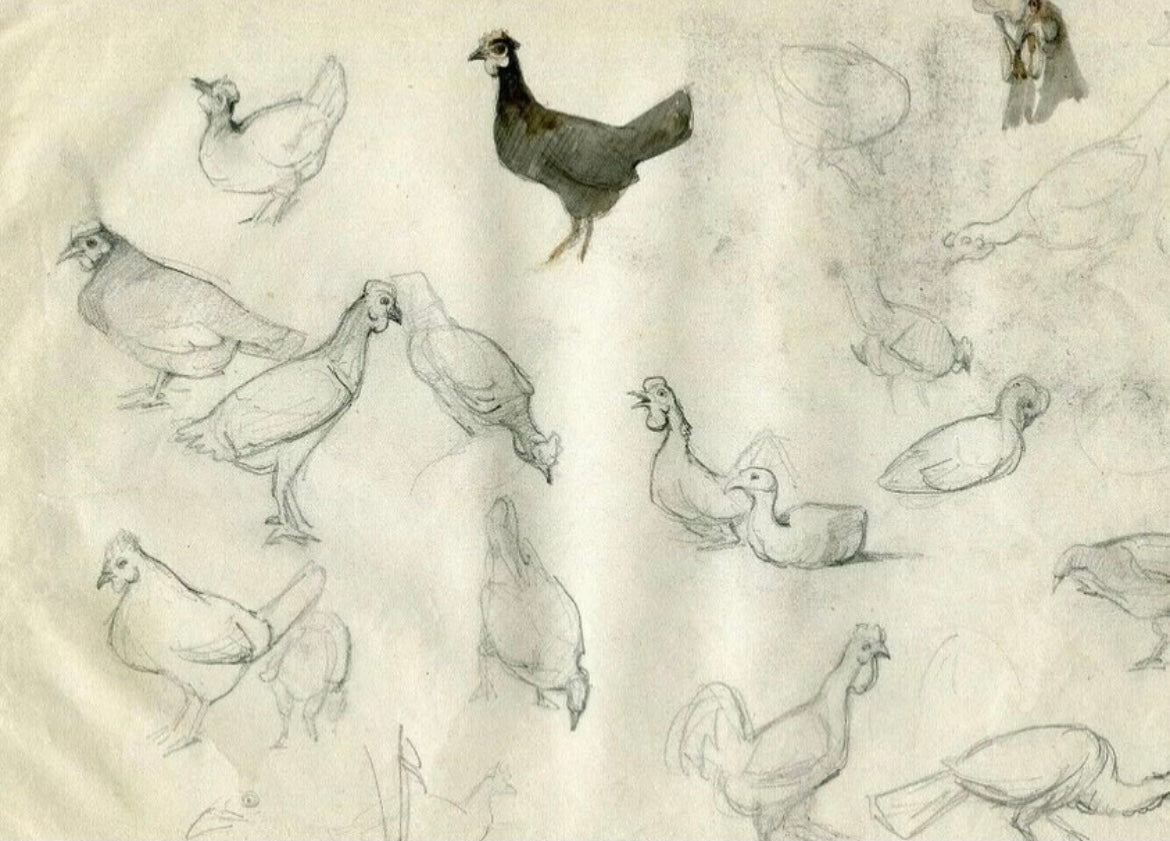 Studies of a Hen