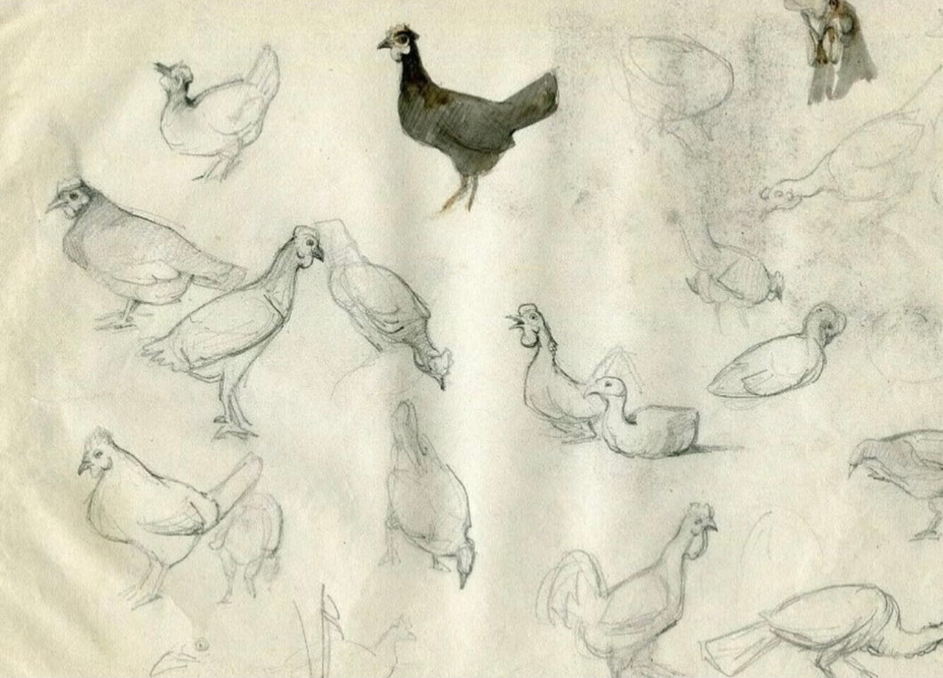 Studies of a Hen